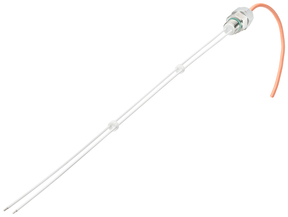 2-pole wire electrode for level monitoring 500 mm long with Teflon insulation by Siemens