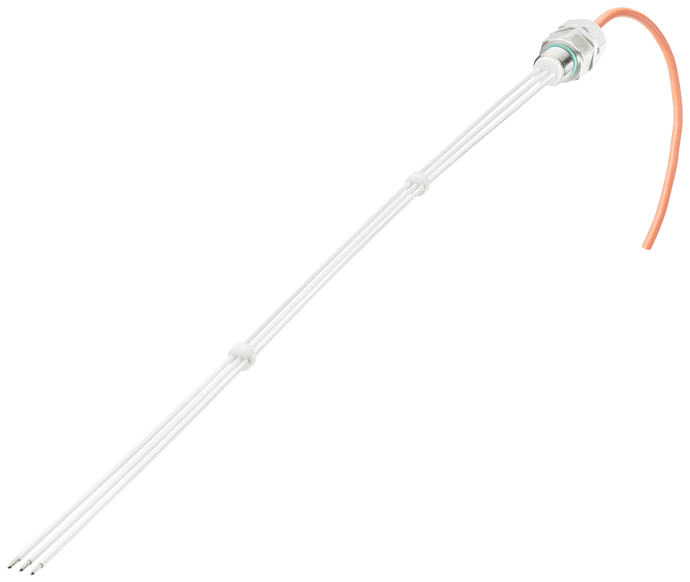 3-pole wire electrode for level monitoring 500 mm long with Teflon insulation by Siemens