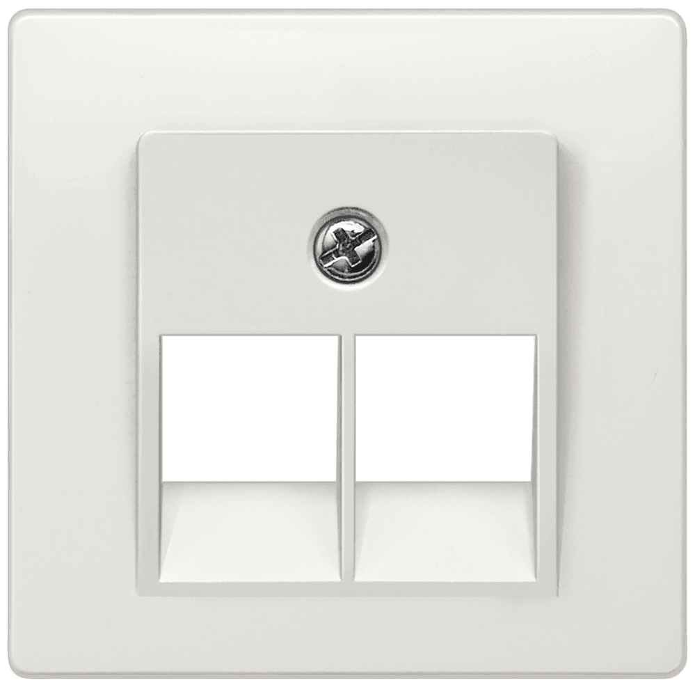 DELTA i-system titanium white Cover plate UAE connection socket suitable for Ackermann Cat. 3 2x 8-pole by Siemens