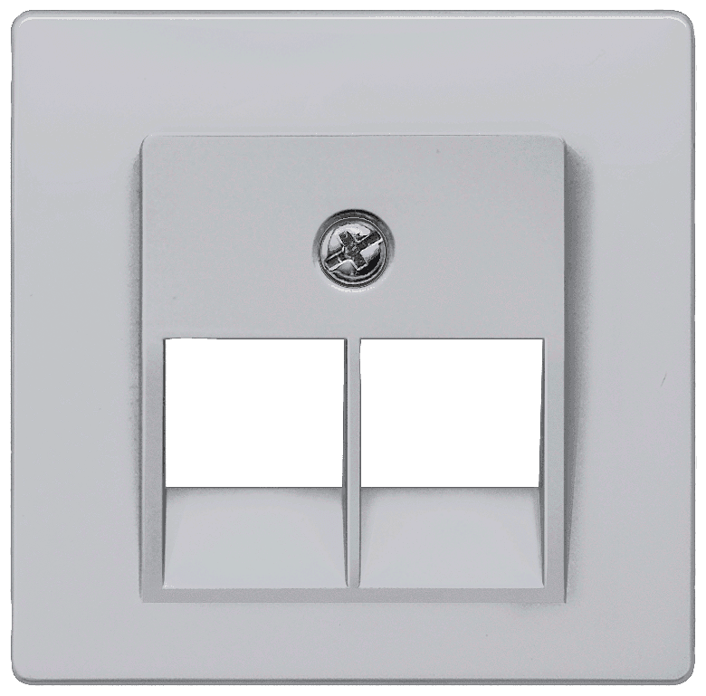 DELTA i-system aluminum-metallic Cover plate UAE connection socket suitable for Ackermann Cat. 3 2x 8-pole by Siemens