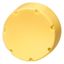 pushbutton by Siemens